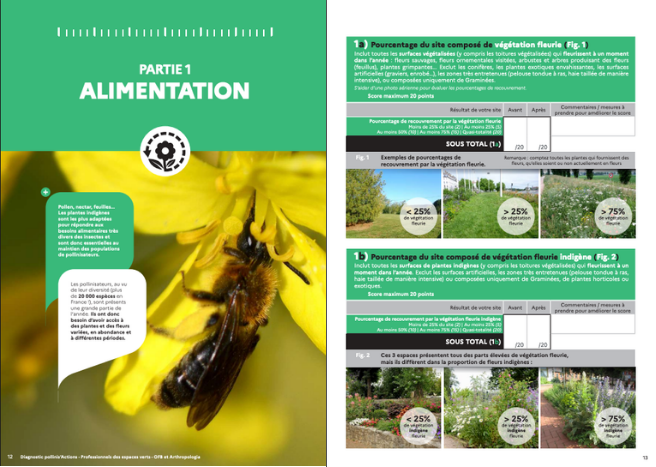 1.ALIMENTATION