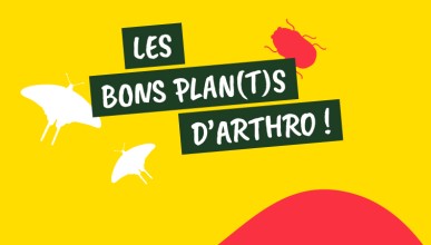 Bons plan(t)s d’Arthro : mettez de la vie dans votre jardin, plantez local !