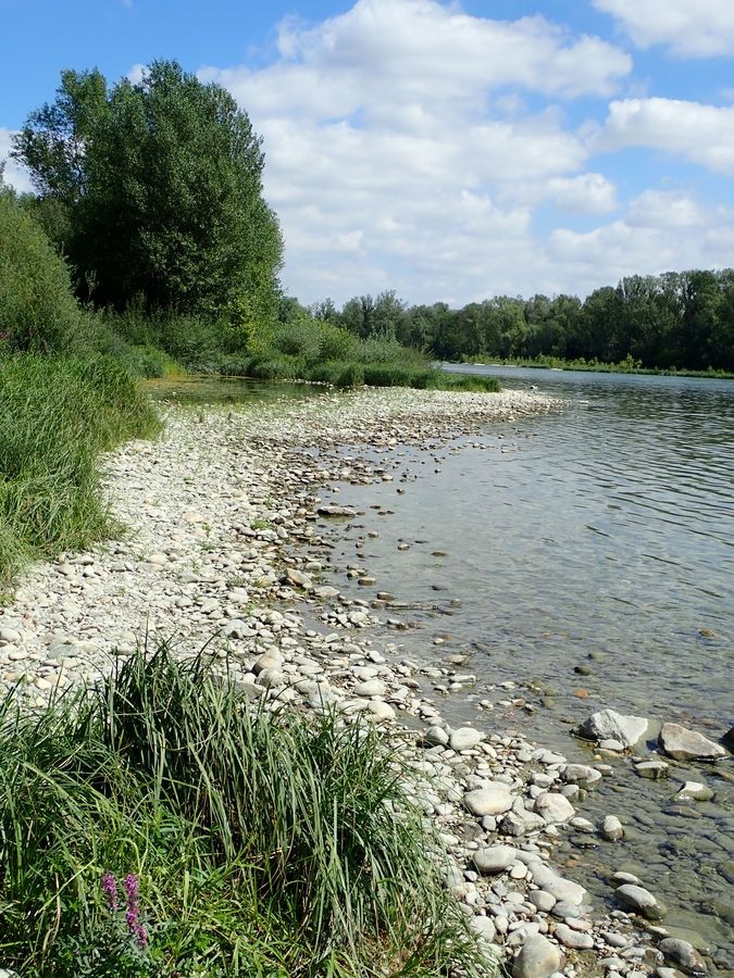 La gestion d’un milieu nécessite la prise en compte des composantes faune, flore et sol mais également de son environnement et des différents usages.