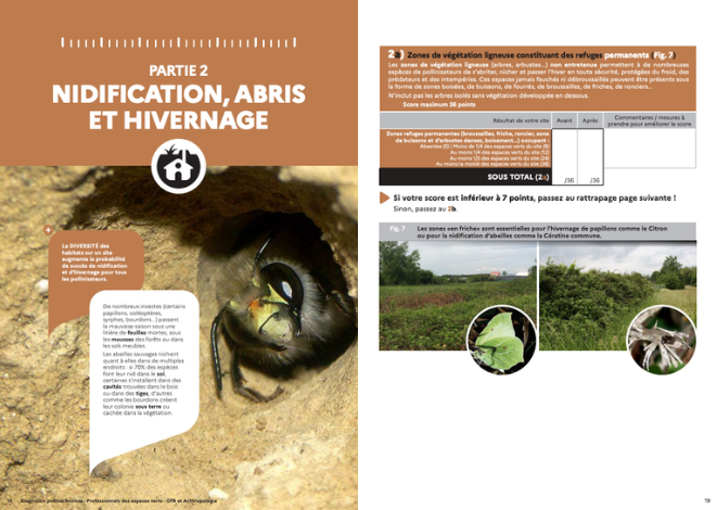 2.NIDIFICATION