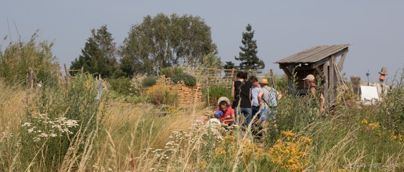ARTHROPOLOGIA participe à la réalisation d’un Atlas des bourdons de la région Auvergne-Rhône-Alpes.