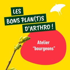 Bons plan(t)s : Atelier 