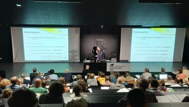 2èmes Assises des Insectes Pollinisateurs 2019
