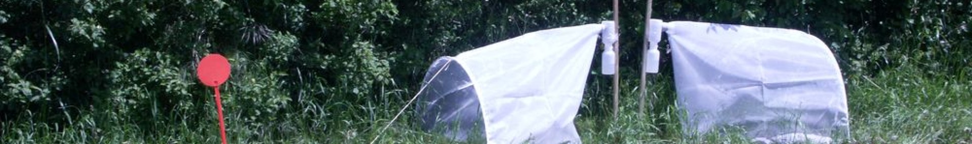 Suivis des auxiliaires de cultures - ARTHROPOLOGIA