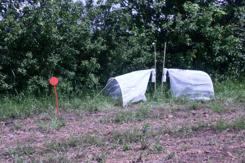 Suivis des arthropodes auxiliaires