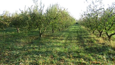 Accompagnement au changement de pratiques