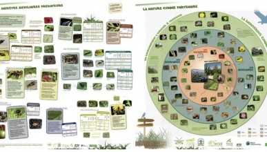 Les outils techniques