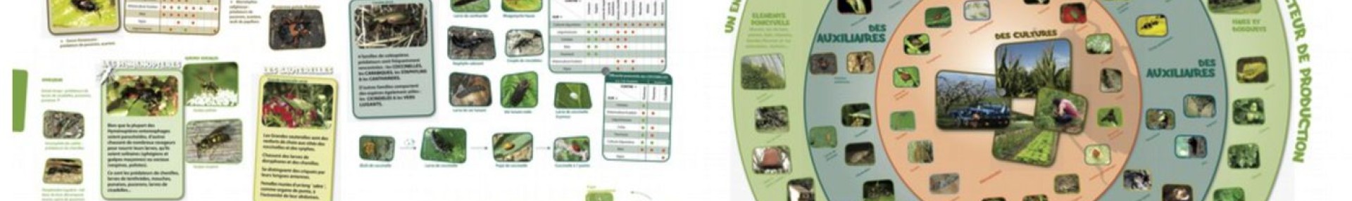 Les outils techniques - ARTHROPOLOGIA