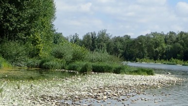 Accompagnement gestion écologique
