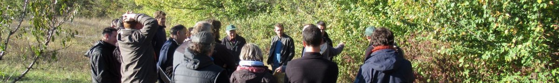 Nos missions - ARTHROPOLOGIA