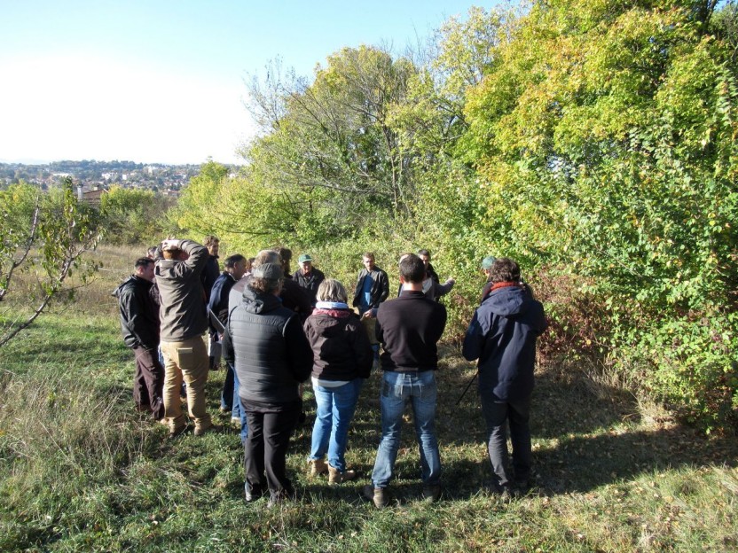ARTHROPOLOGIA réalise des actions concrètes en faveur de la biodiversité.