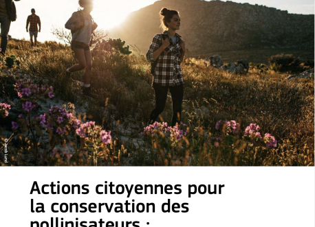 Guide actions citoyennes conservation pollinisateurs