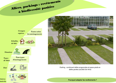 Allées et parkings favorables à la biodiversité