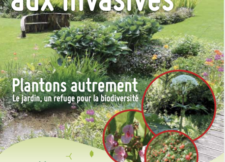 Alternatives_invasives