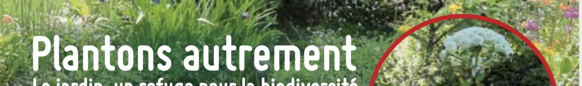 Alternatives_invasives - ARTHROPOLOGIA