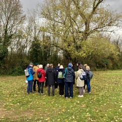 Au fil des arbres - Balade à Sainte Foy lès Lyon