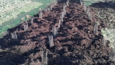 Assistance à maitrise d'ouvrage