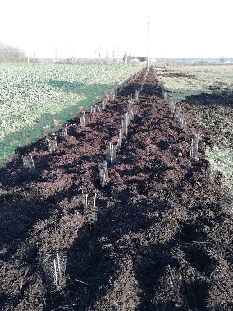 Nos experts à ARTHROPOLOGIA proposent une assistance à maîtrise d’ouvrage et maîtrise d’œuvre pour intégrer au mieux et à coût réduit les enjeux écologiques.