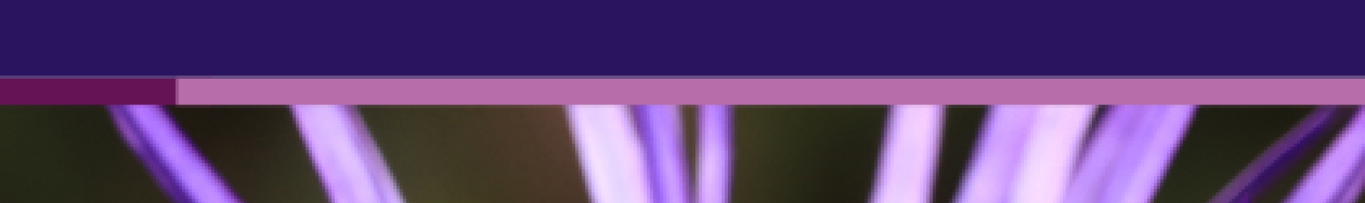 Atlas des bourdons de la région Auvergne-Rhône-Alpes - ARTHROPOLOGIA