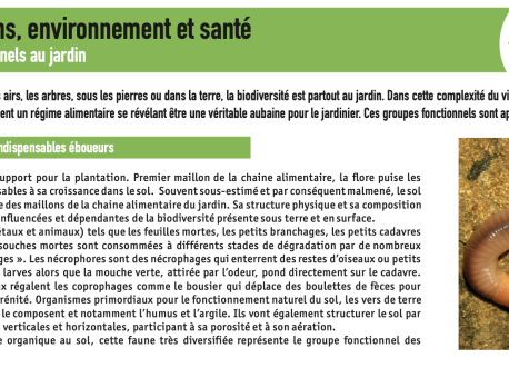 Découverte des auxiliaires de culture