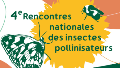 4e Rencontres nationales des insectes pollinisateurs