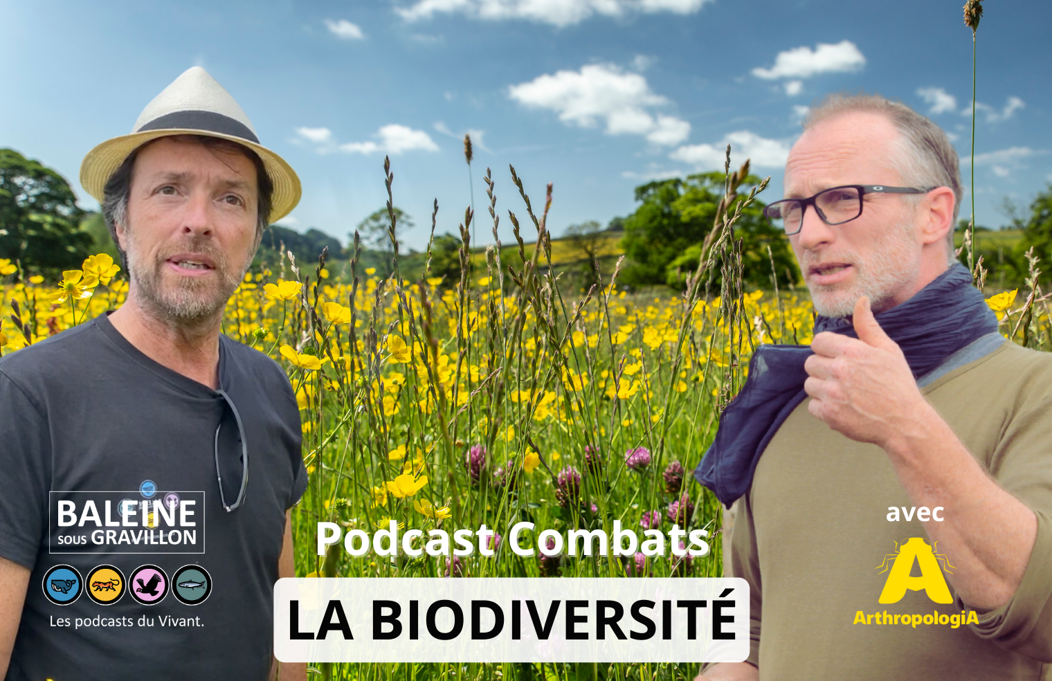biodiversite%CC%81%20podcast%20combats%20arthropologia