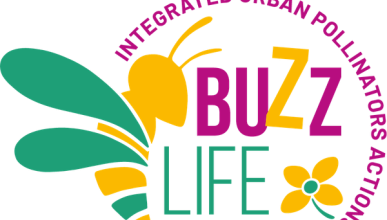 BUZZLIFE
