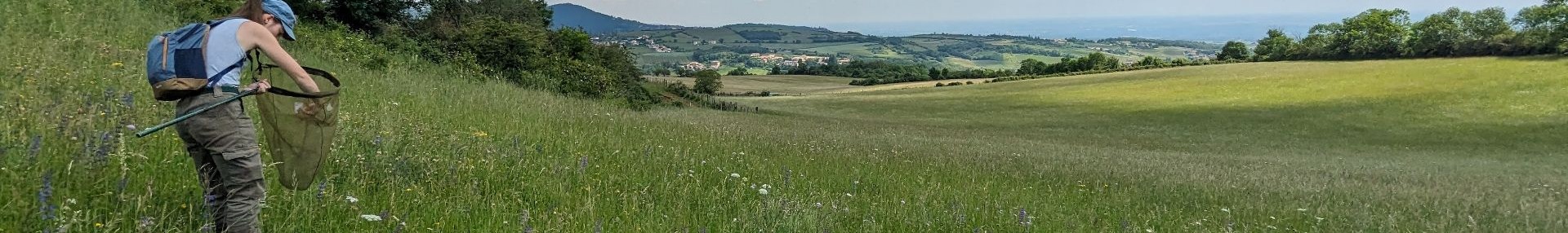 Études naturalistes - ARTHROPOLOGIA