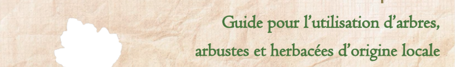 Végétalisation vocation ecologique - ARTHROPOLOGIA