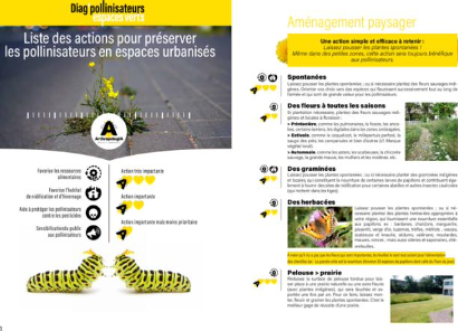 Diag_PollinisAction_ENG