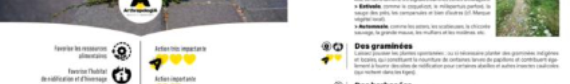 Diag_PollinisAction_ENG - ARTHROPOLOGIA