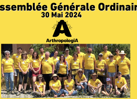 Rapport activités 2023