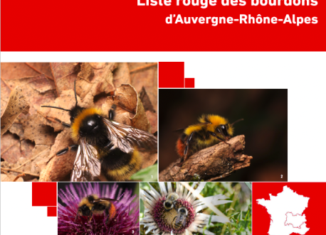 Liste rouge bourdons Auvergne-Rhône-Alpes