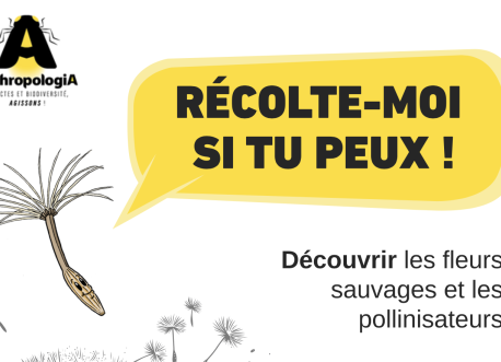 Recolte moi si tu peux