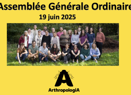 Rapport activités 2024