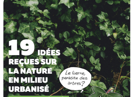 GUIDE IDÉES REÇUES