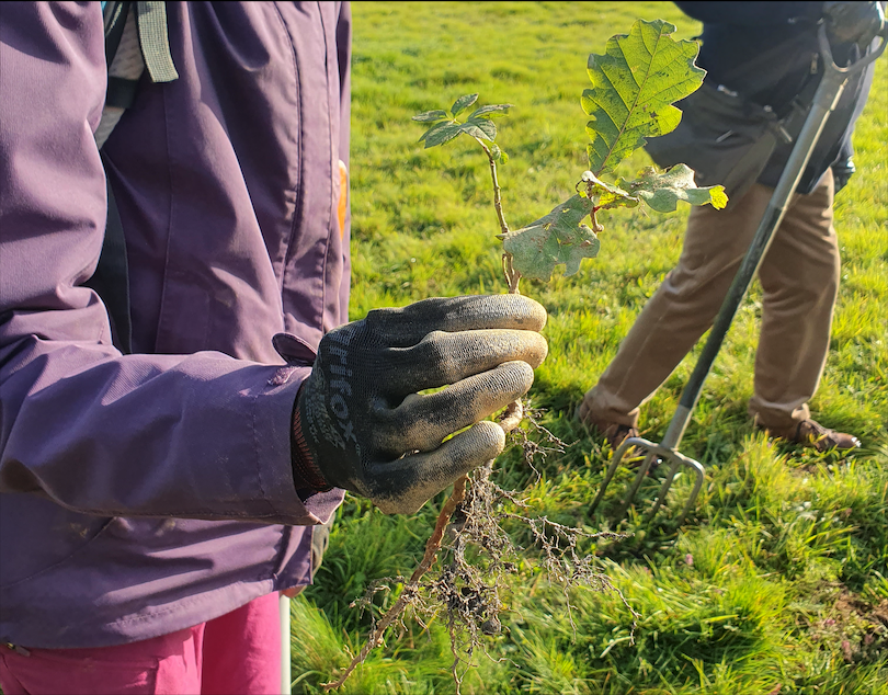 Capture%20d%E2%80%99e%CC%81cran%202025-11-17%20a%CC%80%2016.13.20