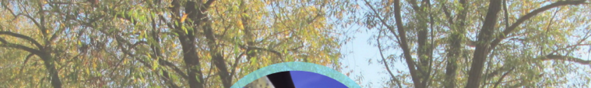 Fiches Enquête Abeilles Sauvages Saules - ARTHROPOLOGIA