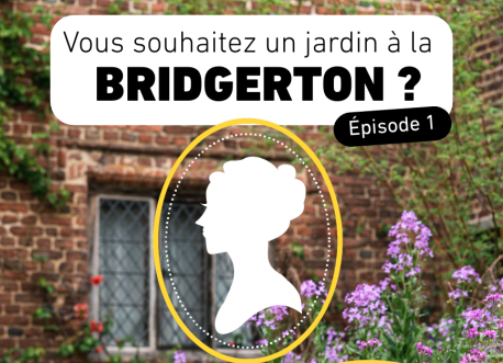 Un jardin à la Bridgerton favorable aux pollinisateurs