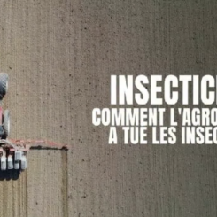 Ciné-débat : Festival Alimenterre à St Rambert
