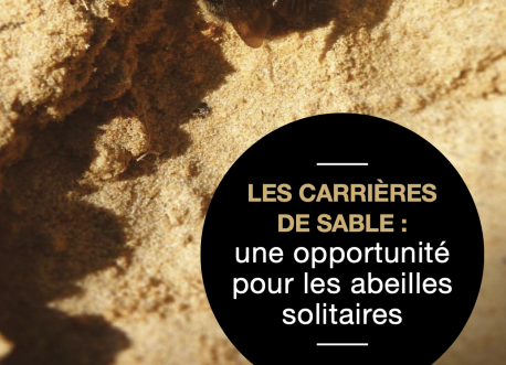 Carrières de sable et abeilles