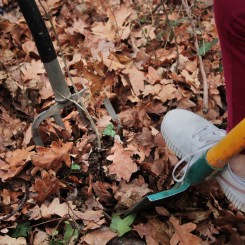 Biodiversité au jardin : chantier participatif à la Casa Ricochet !