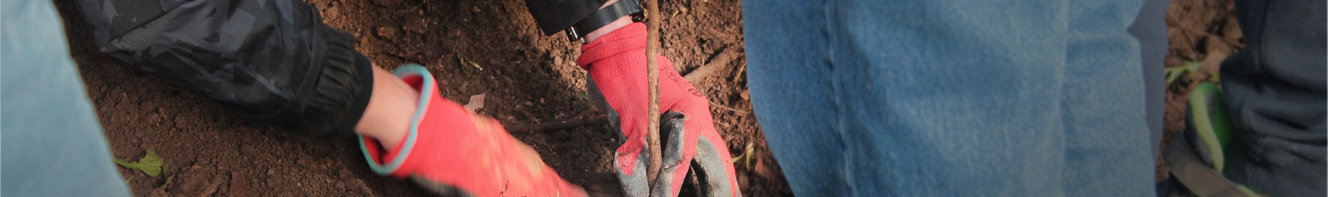 Principes généraux autour des plantations et de la gestion des espaces verts - ARTHROPOLOGIA