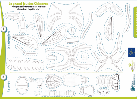 Construire une petite bête