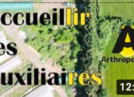 Accueillir les auxiliaires de cultures - Série du Vivant dans les champs, Épisode 5 - Biodiversité et agriculture