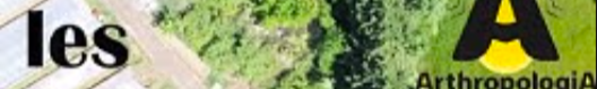 Accueillir les auxiliaires de cultures - Série du Vivant dans les champs, Épisode 5 - Biodiversité et agriculture - ARTHROPOLOGIA