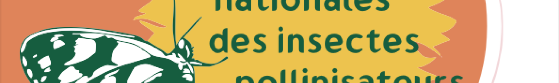 Programme des 4e Rencontres nationales des insectes pollinisateurs - ARTHROPOLOGIA