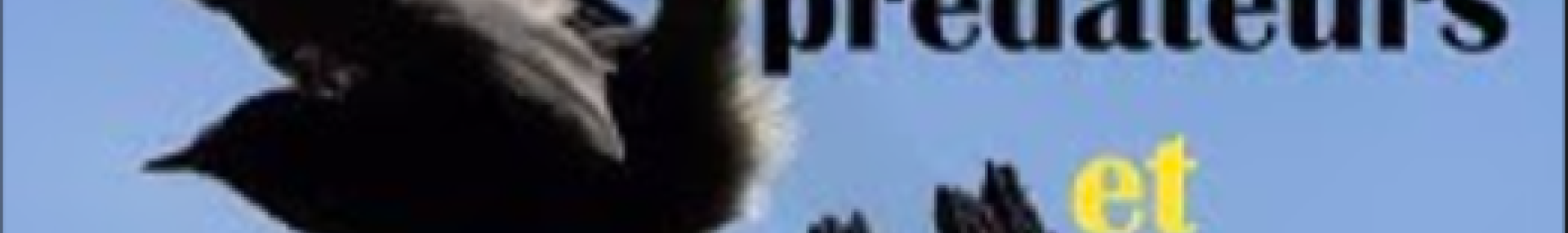 Les Prédateurs et Parasitoïdes - Série du Vivant dans les champs, Épisode 2 - Biodiversité et agriculture - ARTHROPOLOGIA