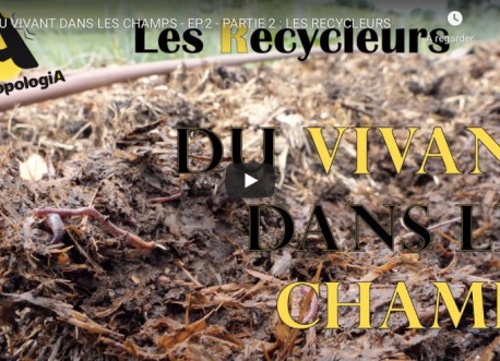 Les Recycleurs - Série du Vivant dans les champs, Épisode 3 - Biodiversité et agriculture
