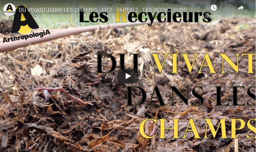 couv_video_recycleurs_w